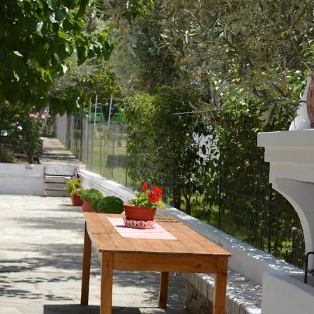 Anna George Studios ستافيلوس المظهر الخارجي الصورة