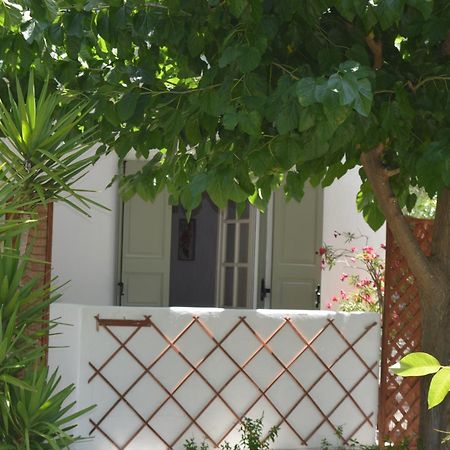 Anna George Studios ستافيلوس المظهر الخارجي الصورة